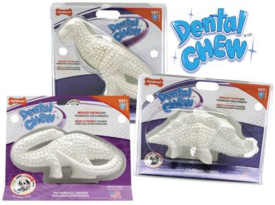 Nylabone Dental Dinosaur Original