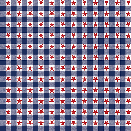 Bandanna Patriotic Checkers - Elevate Your Riding Style