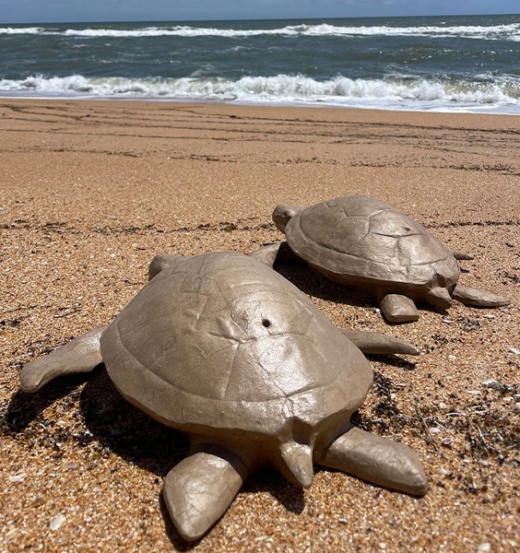 Sea Turtle Biodegradable Urn for Eco-Friendly Water Burial
