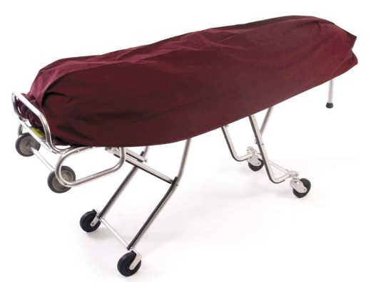 Ferno Model 325 1St Call Cover - Aria Super Fabric: Your Essential Emergency Stretcher Cover