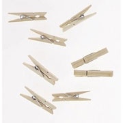 Wooden Spring Clothespins 2.75"