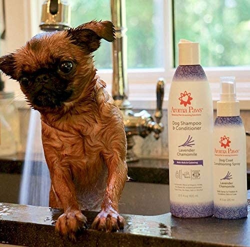 Aroma Paws 12 Oz. Luxury Dog Shampoo & Conditioner In One Lavender ...