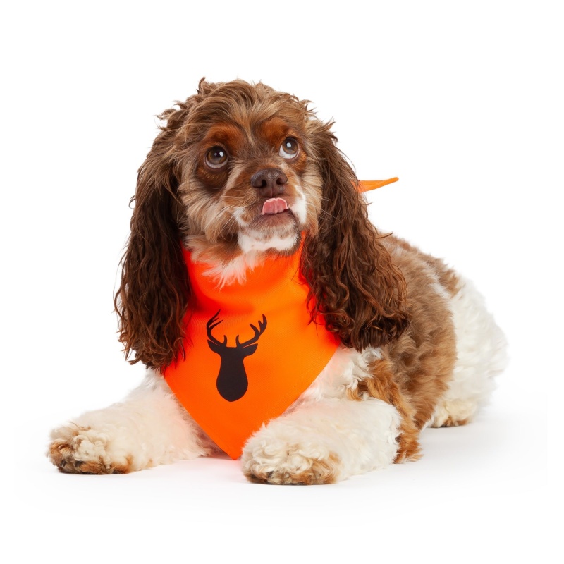 Midlee Blaze Orange Hunter Safety Dog Bandana
