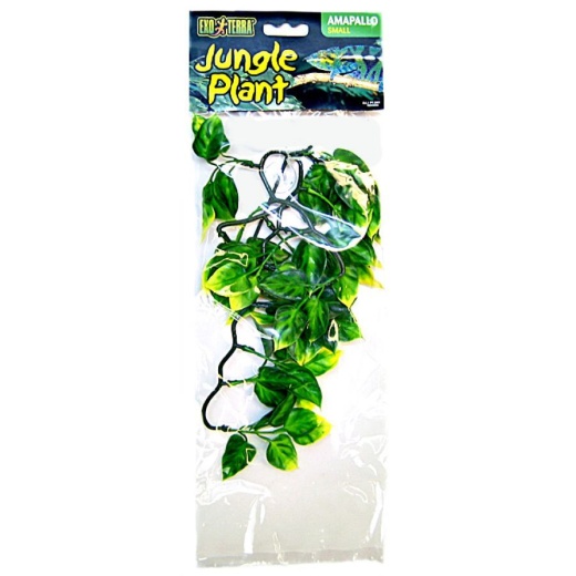 Exo-Terra Amapallo Forest Shrub - Small (12" Long X 6" Wide)