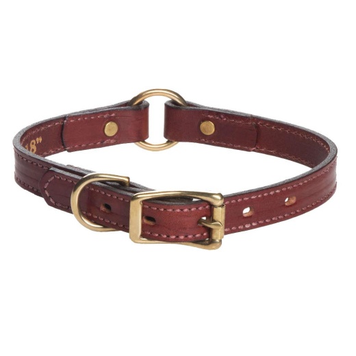 Leather Hunt Collar - Chestnut - Narrow Hunt / 10 Inch