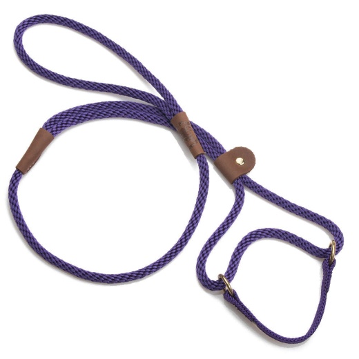 Mendota Dog Walker - Small 3/8 Inch - Kelly Green / 6 Feet
