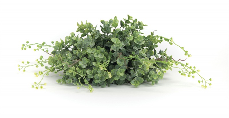 Boxwood Half Orb (Set of 6) 10”D Plastic