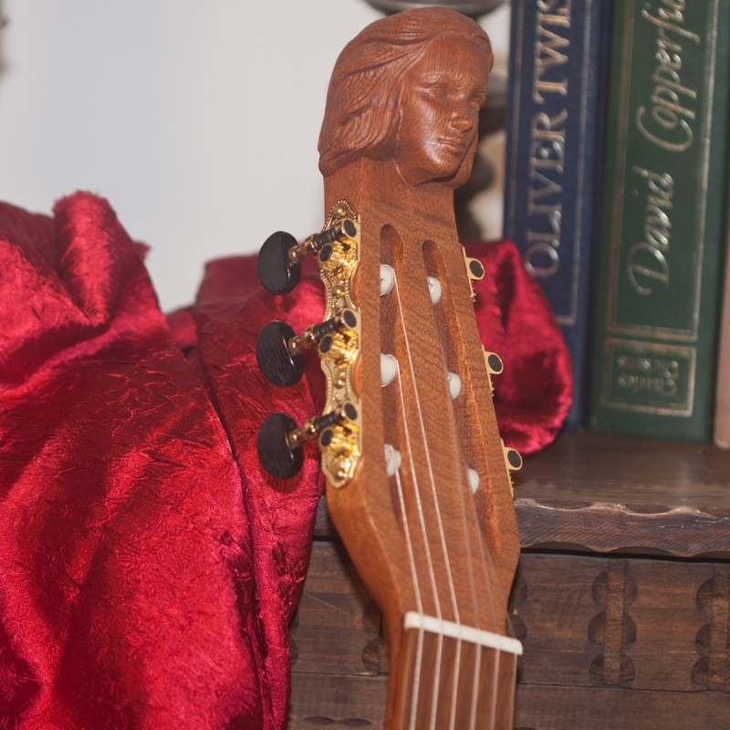 Roosebeck LuteGuitar, 6 String, Variegated, Gears