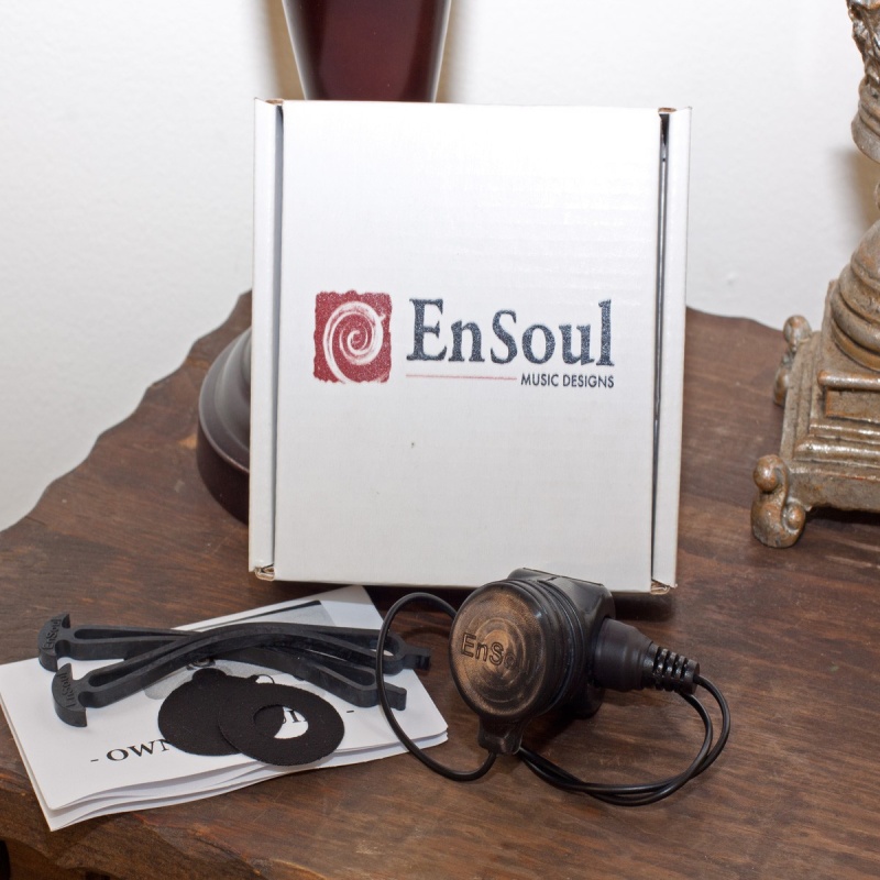 Ensoul Pan Pickup External 18-Inch Lead With Mount