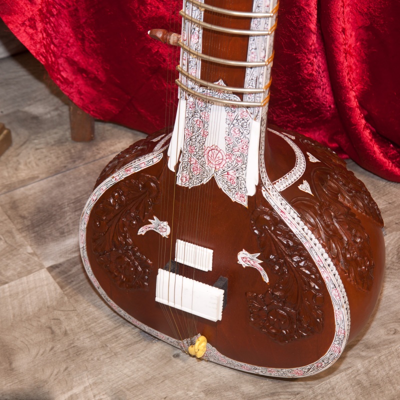 G. Rosul Fancy Pro Sitar