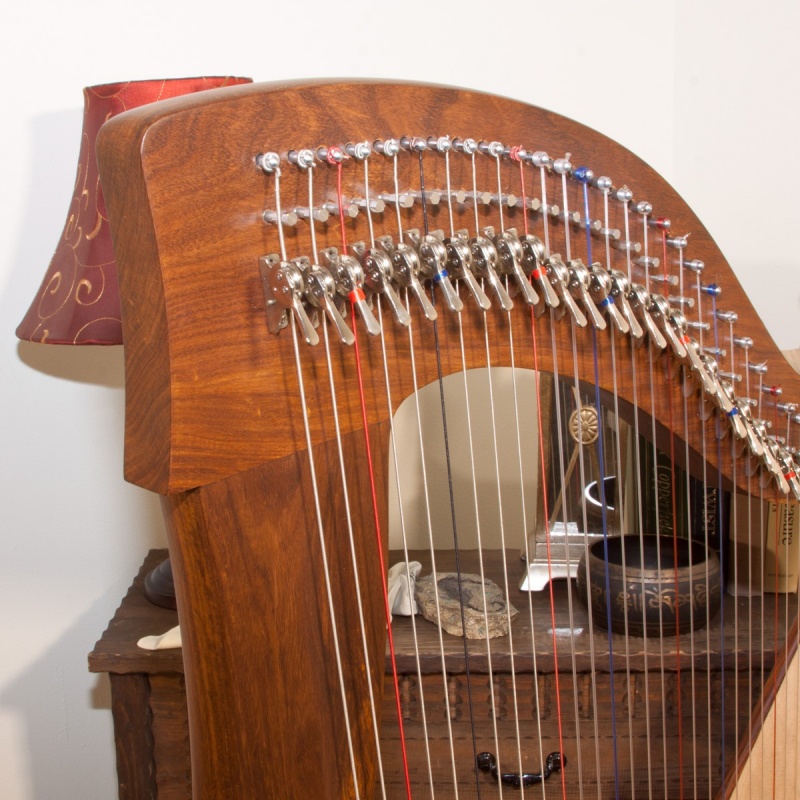 Roosebeck Christel Harp 38-String With Cammy Levers