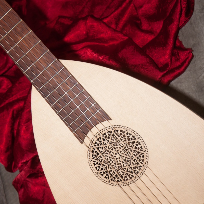 Roosebeck LuteGuitar, 6 String, Variegated, Gears