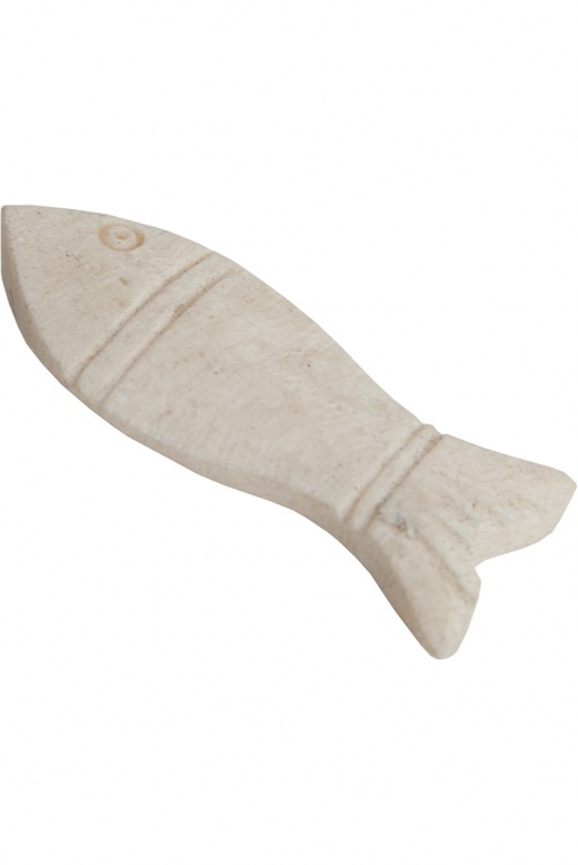 Banjira Sarod Chicari Post Fish