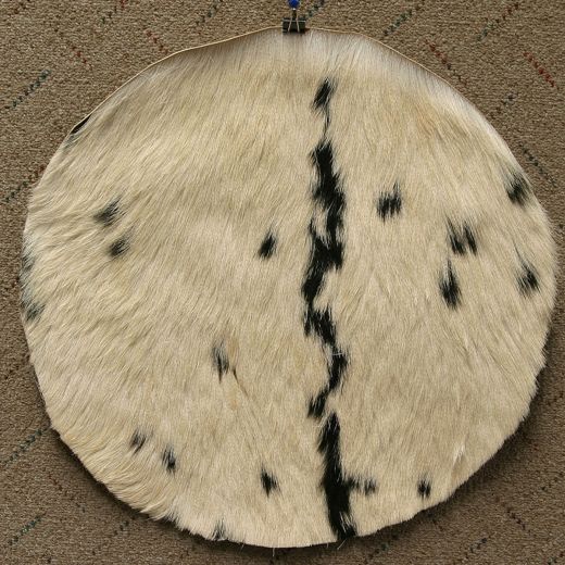 Goatskin With Hair 18-Inch - Medium