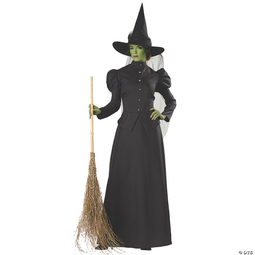 Women's Deluxe Classic Witch Costume