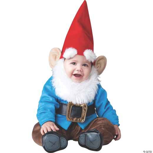 Baby's Lil Garden Gnome Costume - 18-24 Months