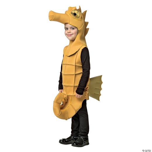 Kids Seahorse Costume