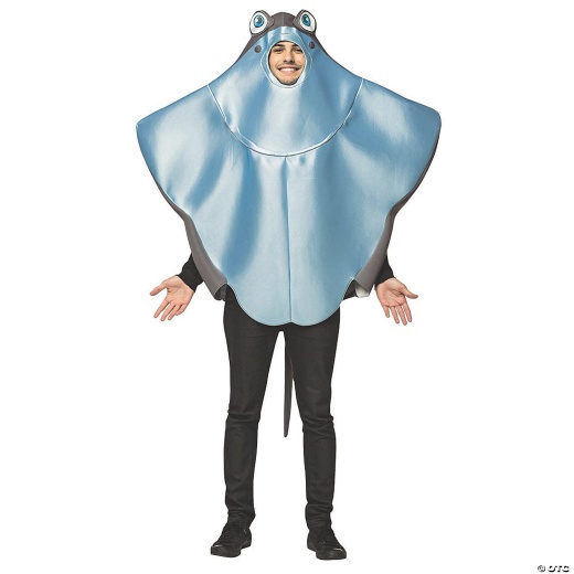 Toddler's Stingray Halloween Costume - 3-4t: A Fin-tastic Choice for Halloween