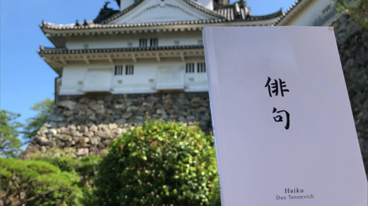 Haiku Book Test 2.0 By Vincent Hedan - Trick