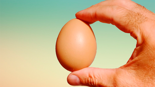 Fake Egg Brown By Quique Marduk - Trick