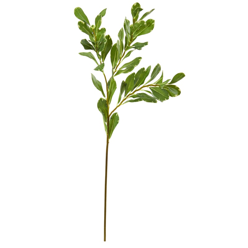 Variegated