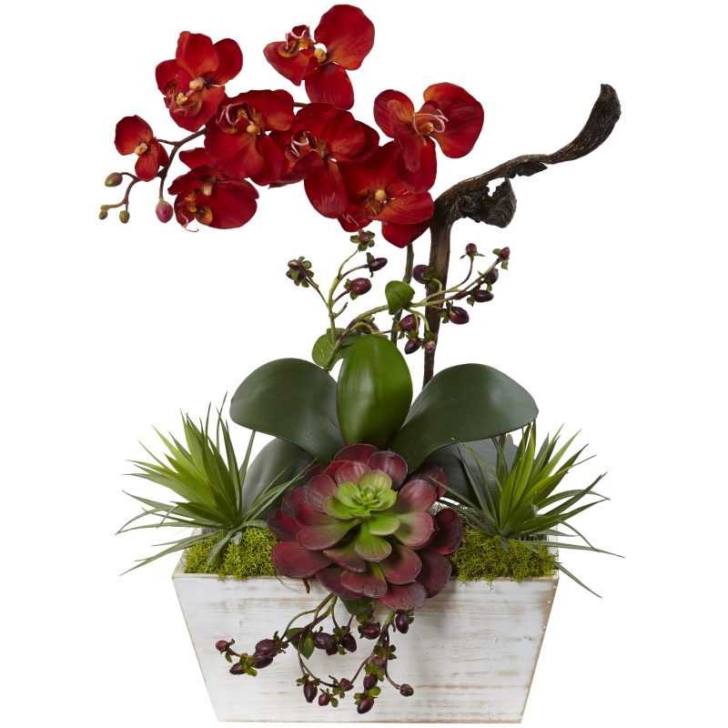 Seasonal Orchid & Succulent Garden W/White Wash Planter