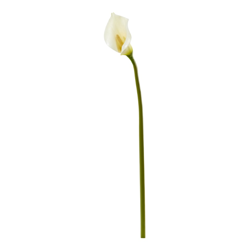 White Artificial Calla Lilies Set of 6