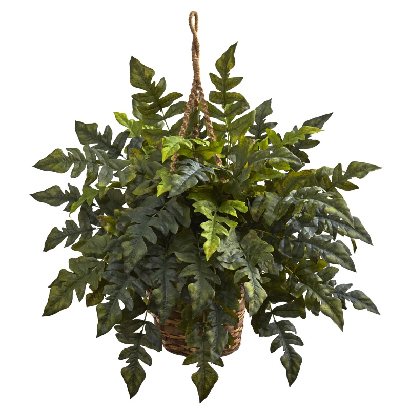 Holly Fern Hanging Basket