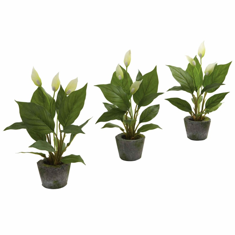 11” Spathyfillum W/Cement Planter (Set Of 3)