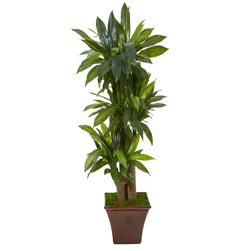 57” Corn Stalk Dracaena Artificial Plant in Brown Planter