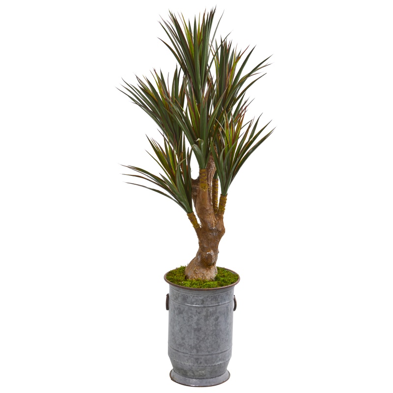 52” Yucca Artificial Tree in Planter