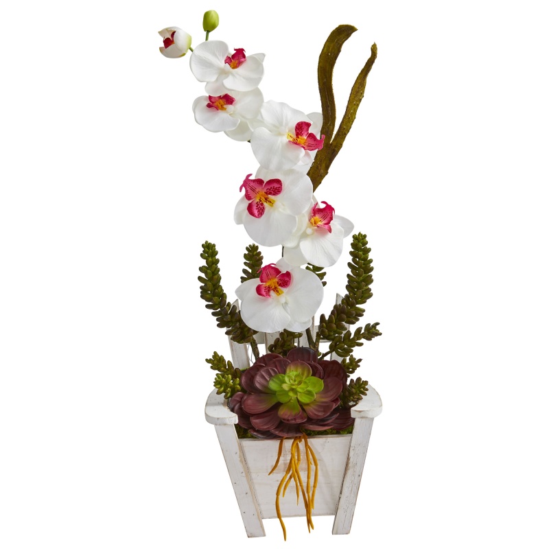 Phalaenopsis Orchid & Succulent Artificial Arrangement In Chair Planter