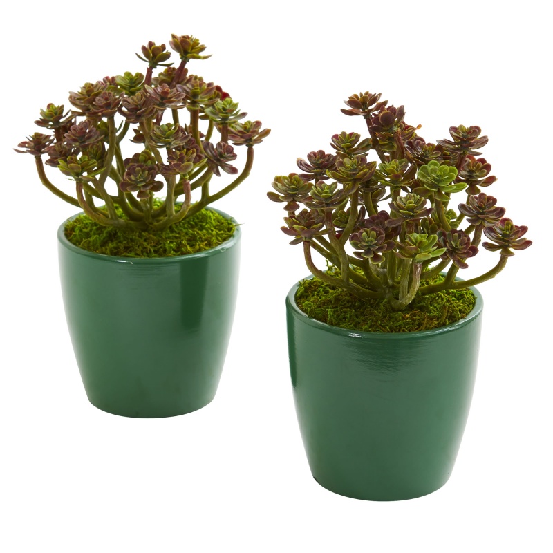 Sedum Artificial Plant In Green Planter (Set Of 2)