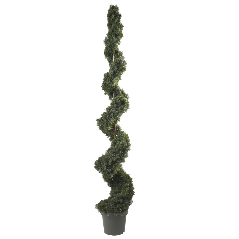 6' Cedar Spiral Silk Tree (In-Door/Out-Door)