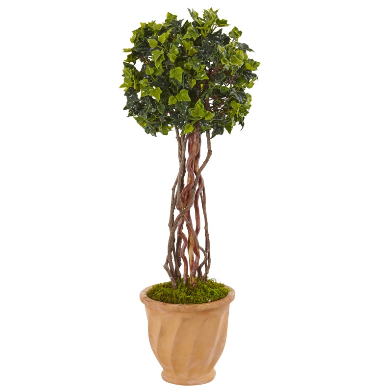 3’ English Ivy Tree In Terracotta Planter Uv Resistant (Indoor/Outdoor)