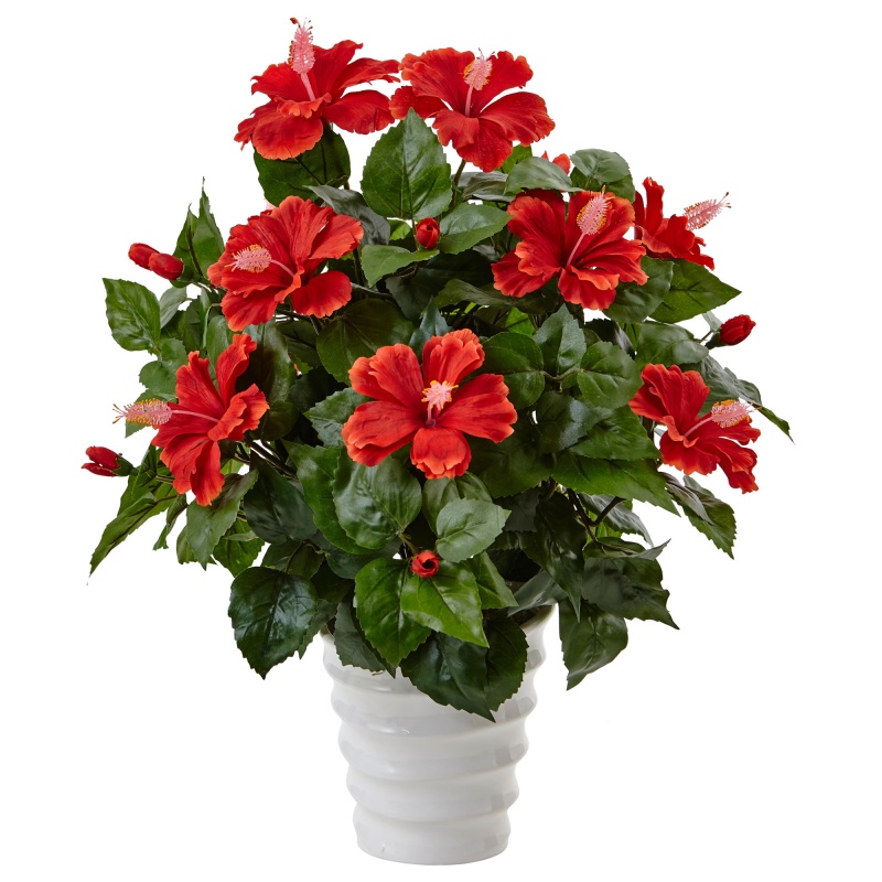 Hibiscus In Swirl Planter