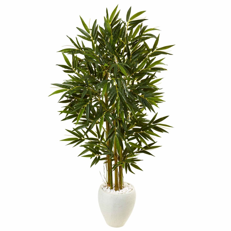 5.5’ Bamboo Tree In White Oval Planter
