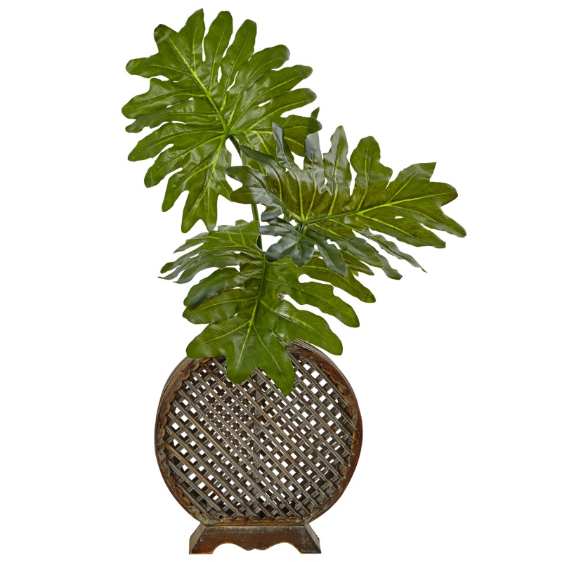 Selloum In Open Weave Vase