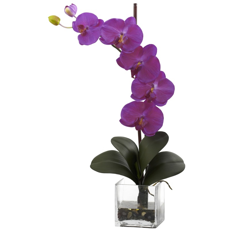 Giant Phal Orchid with Vase Arrangement