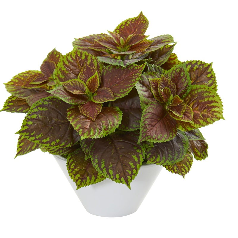 Coleus Artificial Plant In White Planter (Real Touch)
