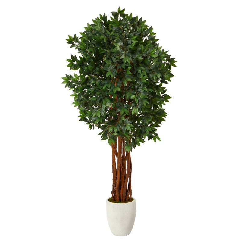 6' Lychee Artificial Tree in White Planter