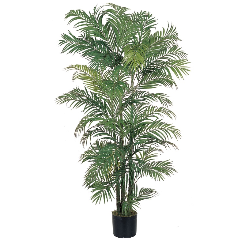 6' Areca Silk Palm Tree