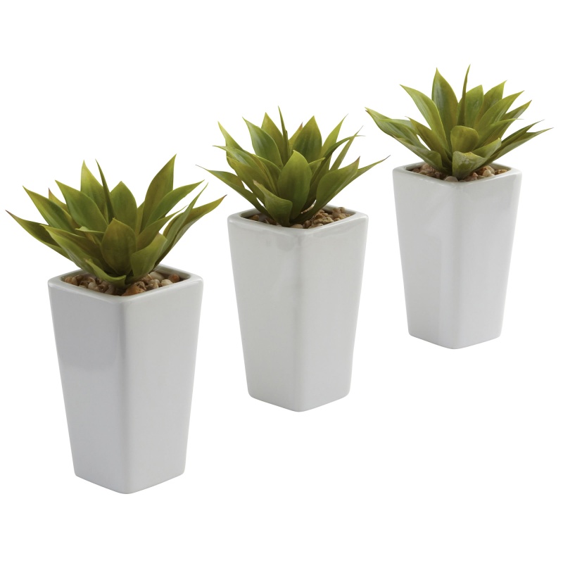 Mini Agave W/ Planter (Set Of 3) White