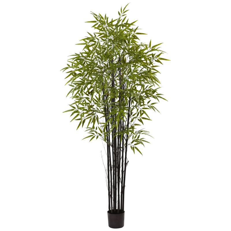 6' Black Bamboo Tree Uv Resistant (Indoor/Outdoor)