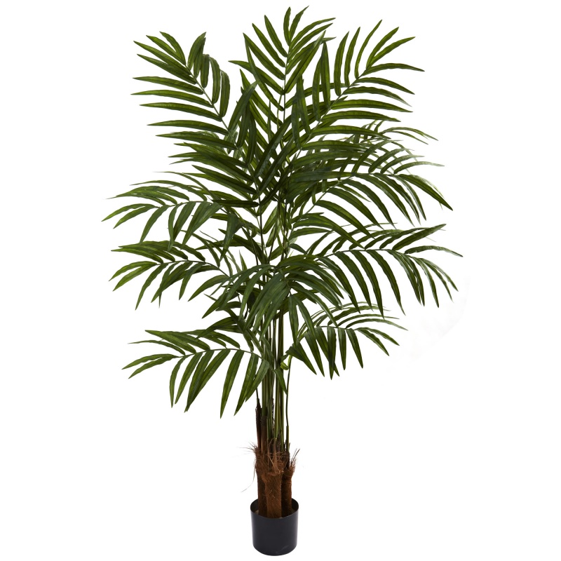 5’' Big Palm Tree