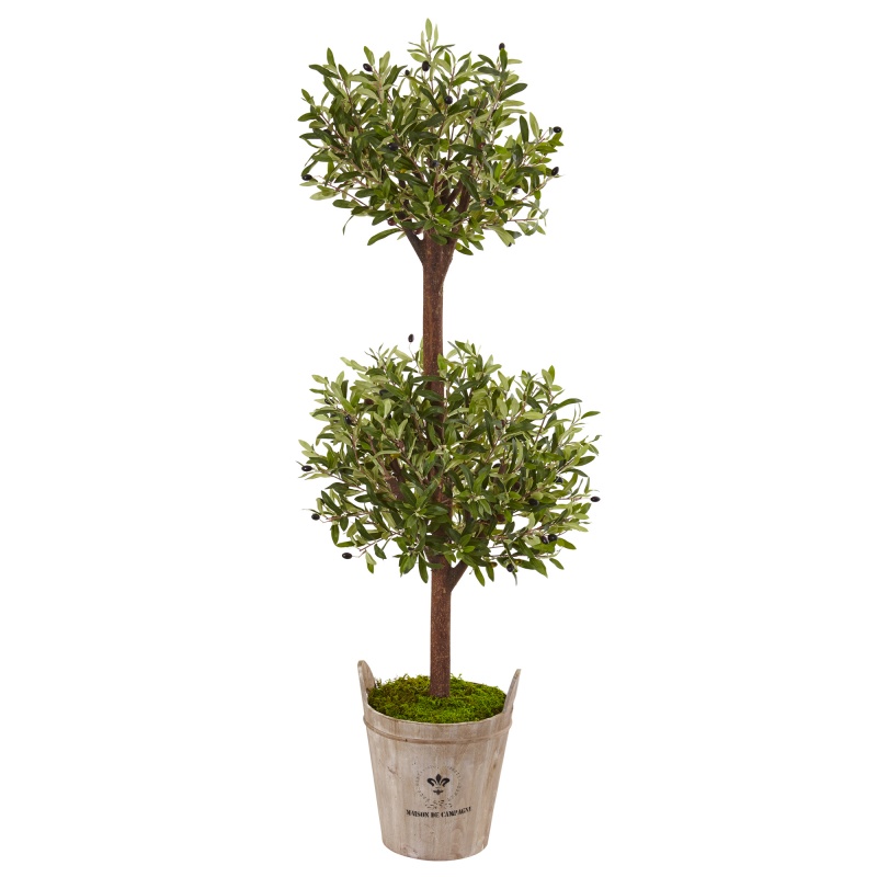 5’ Olive Tree In Farmhouse Planter