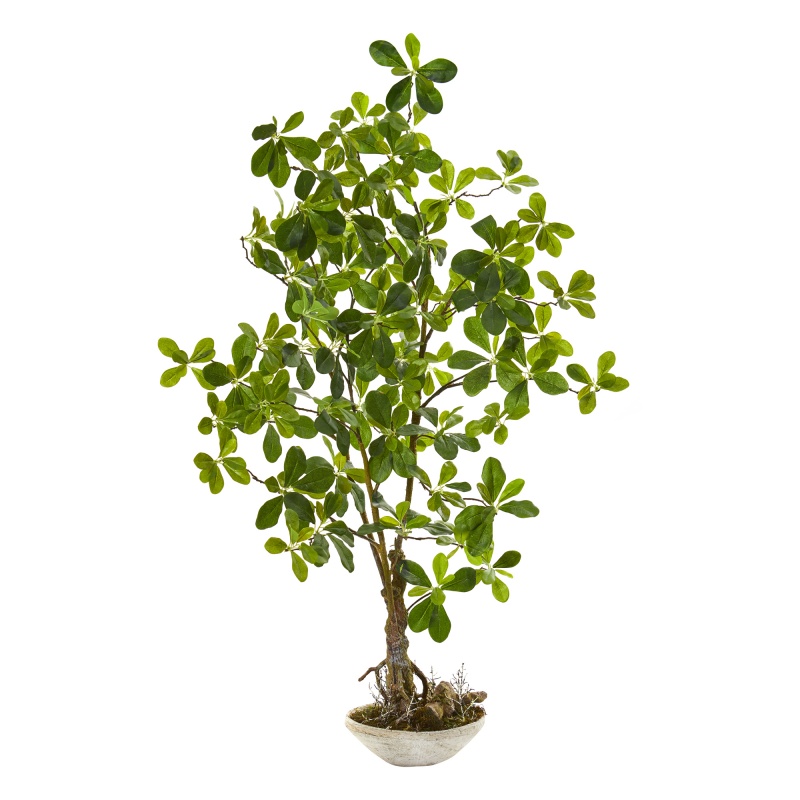4’ Schefflera Bonsai Artificial Plant In Planter