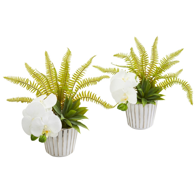 13” Phalaenopsis Orchid, Agave And Fern Artificial Arrangement (Set Of 2)