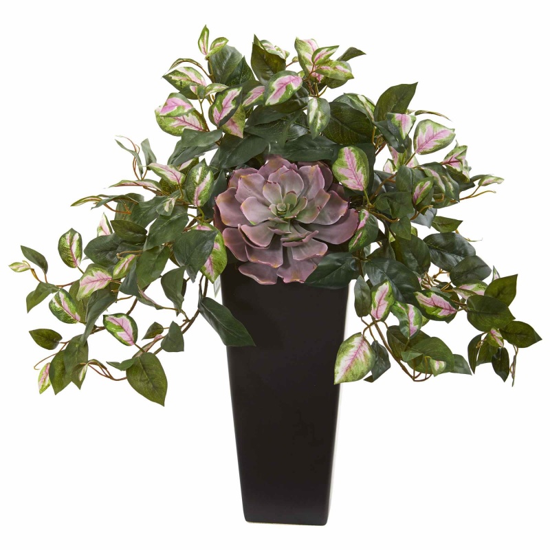 22” Echeveria Succulent And Hoya Artificial Plant In Black Vase