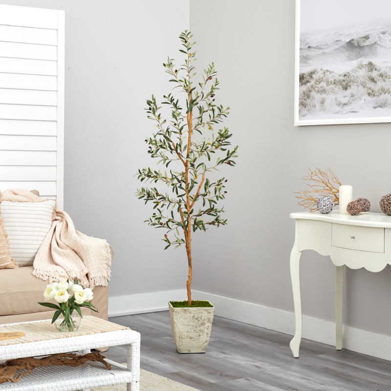 70” Olive Artificial Tree In Country White Planter